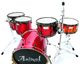 Animal Custom Drums Elite Kit with Snare
